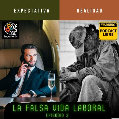 03 La falsa vida laboral
