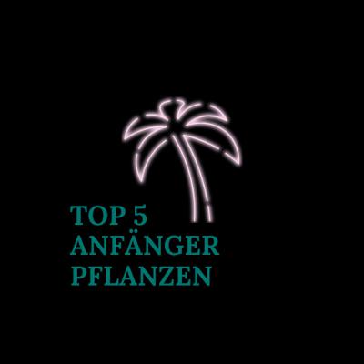 Top 5 Anfänger Pflanzen