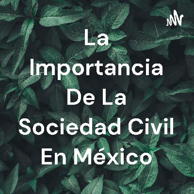 La importancia de la sociedad civil en México