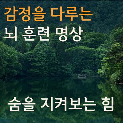 감정조절과 불안완화에 효과적인 호흡 명상 | 요가 니드라 Ep.4