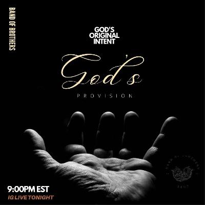 God's Original Intent: God's Provision