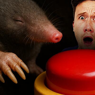 The Day The Moles Complained