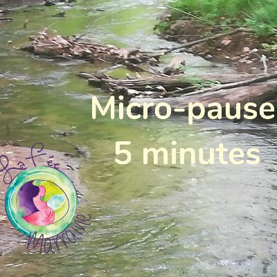 Micro-pause au bord de l'eau