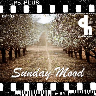 Dave Harrigan - Sunday Mood 117 Dave Harrigan - Sunday Mood 117