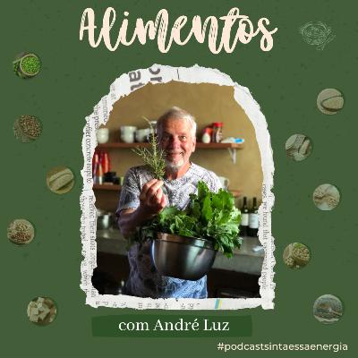 Alimentos