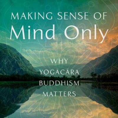 Making Sense of Mind Only 1