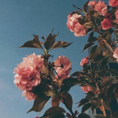 Abuso de autoridade das forças policiais