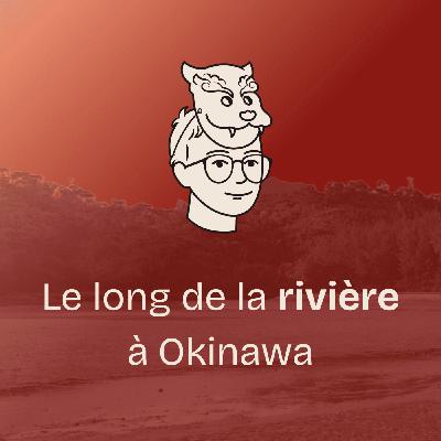 #19 Fascinante biodiversité d’Okinawa (2/4) Au détour de la rivière