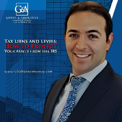 Tax Liens and Levies: How to Protect Your Assets from the IRS Tax Liens and Levies: How to Protect Your Assets from the IRS