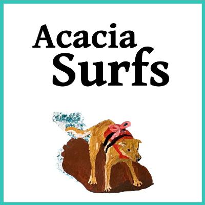Acacia Surfs - Spanish Audio Book