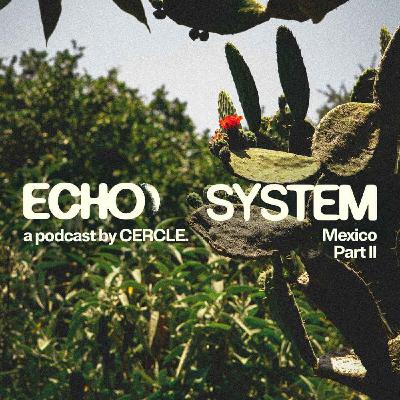 Mexico City (part 2): Astrid Hadad, Teotihuacan & Xochimilco