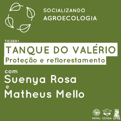 T02E01 - Proteção e reflorestamento do Tanque do Valério