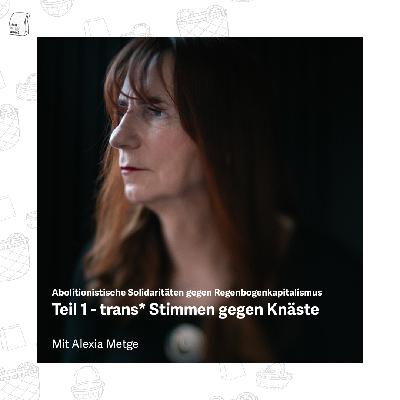Abolitionistische Solidaritäten gegen Regenbogenkapitalismus Teil 1