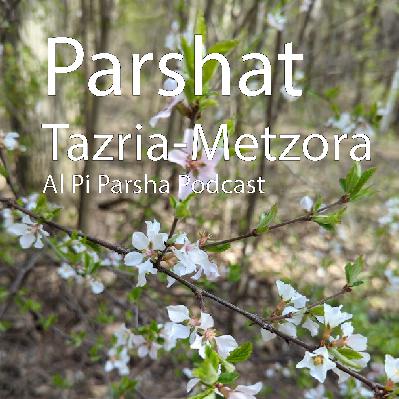 Episode 14: Tazria Metzora Episode 14: Tazria Metzora