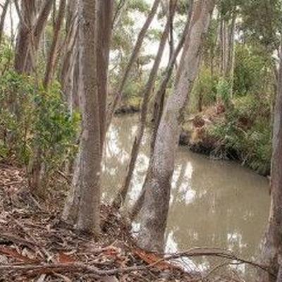 Tragedy in Melbourne - Woman and child drown after falling into creek