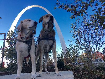 Pawcast Podcast #31 Missouri Pawcast Podcast #31 Missouri