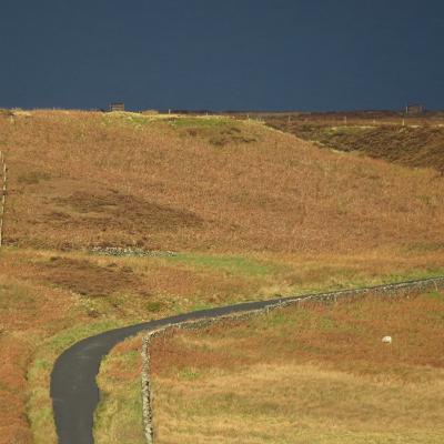 Rob Walsh with Blowin - Sunday 29 November 2020