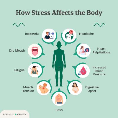 The Silent Storm: How Stress Shapes Your Mind and Body