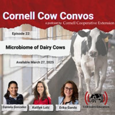 Cornell Cow Convos E22 Microbiome of Dairy Cows Cornell Cow Convos E22 Microbiome of Dairy Cows