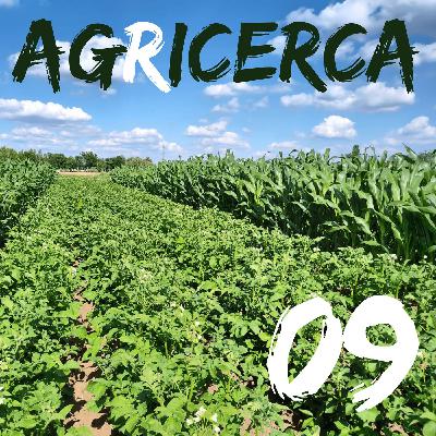 09 - Serre e tecnologia con Cecilia Stanghellini 09 - Serre e tecnologia con Cecilia Stanghellini