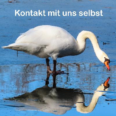 Kontakt mit uns selbst in Zeiten von Corona