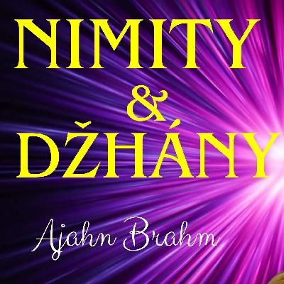 Nimity a džhány🧘| Ajahn Brahm | 2013