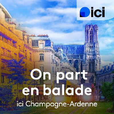 Val-de-Vesle, un modèle de développement écologique et durable dans la Marne