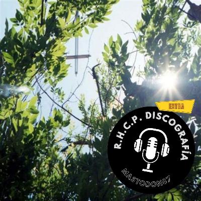 Extra: Flea Market Extra: Flea Market