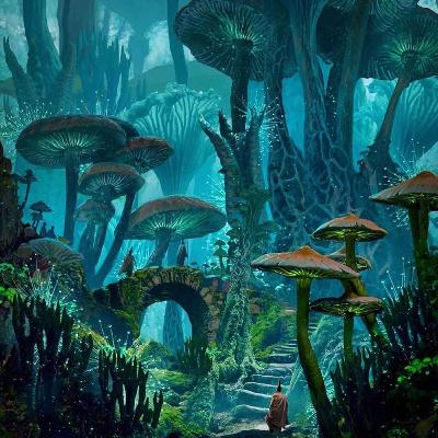 T3E11 La raíz del problema siempre está en la raíz