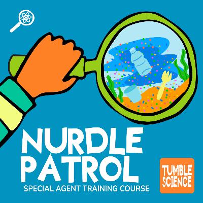 Lesson 8: Nurdle Patrol Graduation