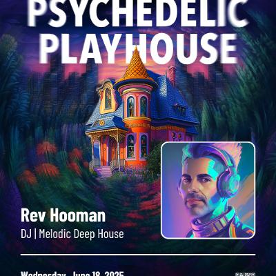 Psychedelic Playhouse - Jonas Bros Bdg Denver, CO by District 216