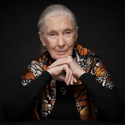 Remembering Jane Goodall. With Mary Lee, Allan & Madeline | Ep. 94