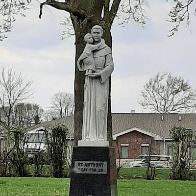 Novena in honour of Saint Anthony of Padua Novena in honour of Saint Anthony of Padua