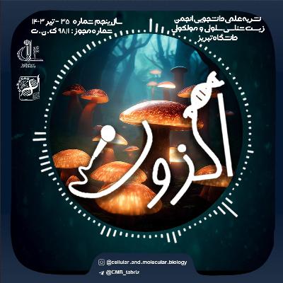 Episode 7 : ‎قارچ‌ها حکمرانان پنهان زمین