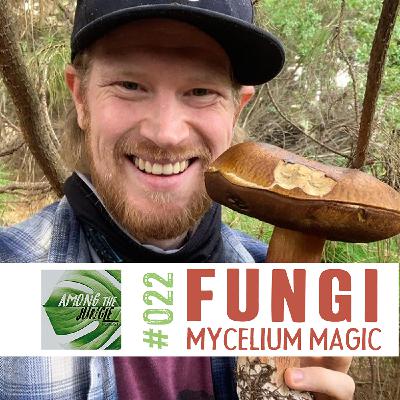 The Fascinating World of Fungi, Mycelium, Mushrooms & Yeast with Dr. Gordon Walker