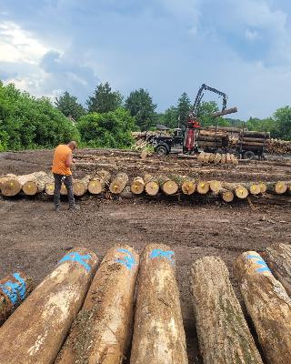 How One Hardwood Sawmill Is Surviving Tough Times