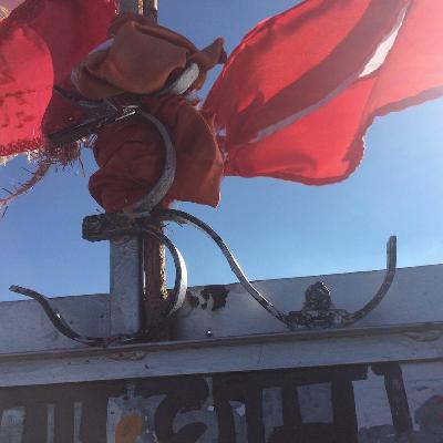 #ProjetoYogIN -Meditação No Japa Om