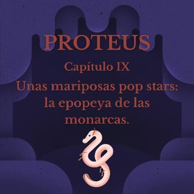 Unas mariposas pop stars: la epopeya de las monarcas Unas mariposas pop stars: la epopeya de las monarcas