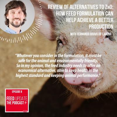 Ep. #8 | Review of alternatives to ZnO: how feed formulation can help achieve a better production, with Fernando Bravo de Laguna