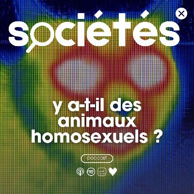 Y a-t-il des animaux homosexuels ? (Partie 2/2)