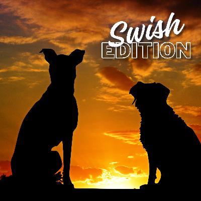 Old Dogs, New Tricks Old Dogs, New Tricks