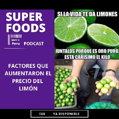 E68. ¿QUÉ FACTORES INCREMENTARON EL PRECIO DEL LIMÓN?