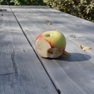 A Very American History of Cider