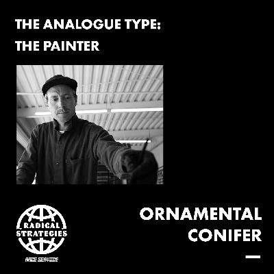 Ornamental Conifer | The Analogue Type: The Painter