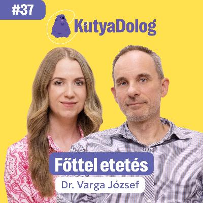 Miért jó a főtt kutyaeledel, és hogyan segíthet az allergiás kutyák kezelésében? | KutyaDolog podcast #37 Miért jó a főtt kutyaeledel, és hogyan segíthet az allergiás kutyák kezelésében? | KutyaDolog podcast #37