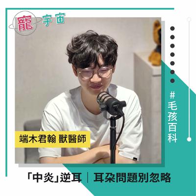 EP89《毛孩百科#40》「中炎」逆耳｜耳朵問題別忽略｜feat. 端木君翰 獸醫師