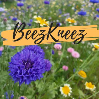 Perfectionism Perfectionism