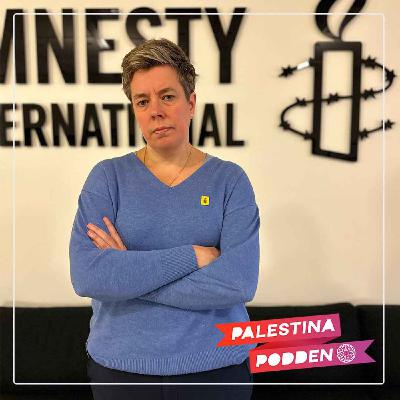 Amnesty Sverige om krigsbrott och apartheid