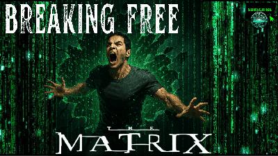 Tools for Freedom: Living Beyond the Matrix | True Purpose, Past Life's,  Taoism 5 Virtues