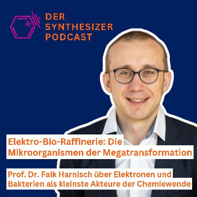 Elektro-Bio-Raffinerie: Die Mikroorganismen der Megatransformation